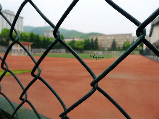 田径场围网 田径场围网